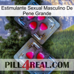 Big Penis Male Sexual Stimulant 15